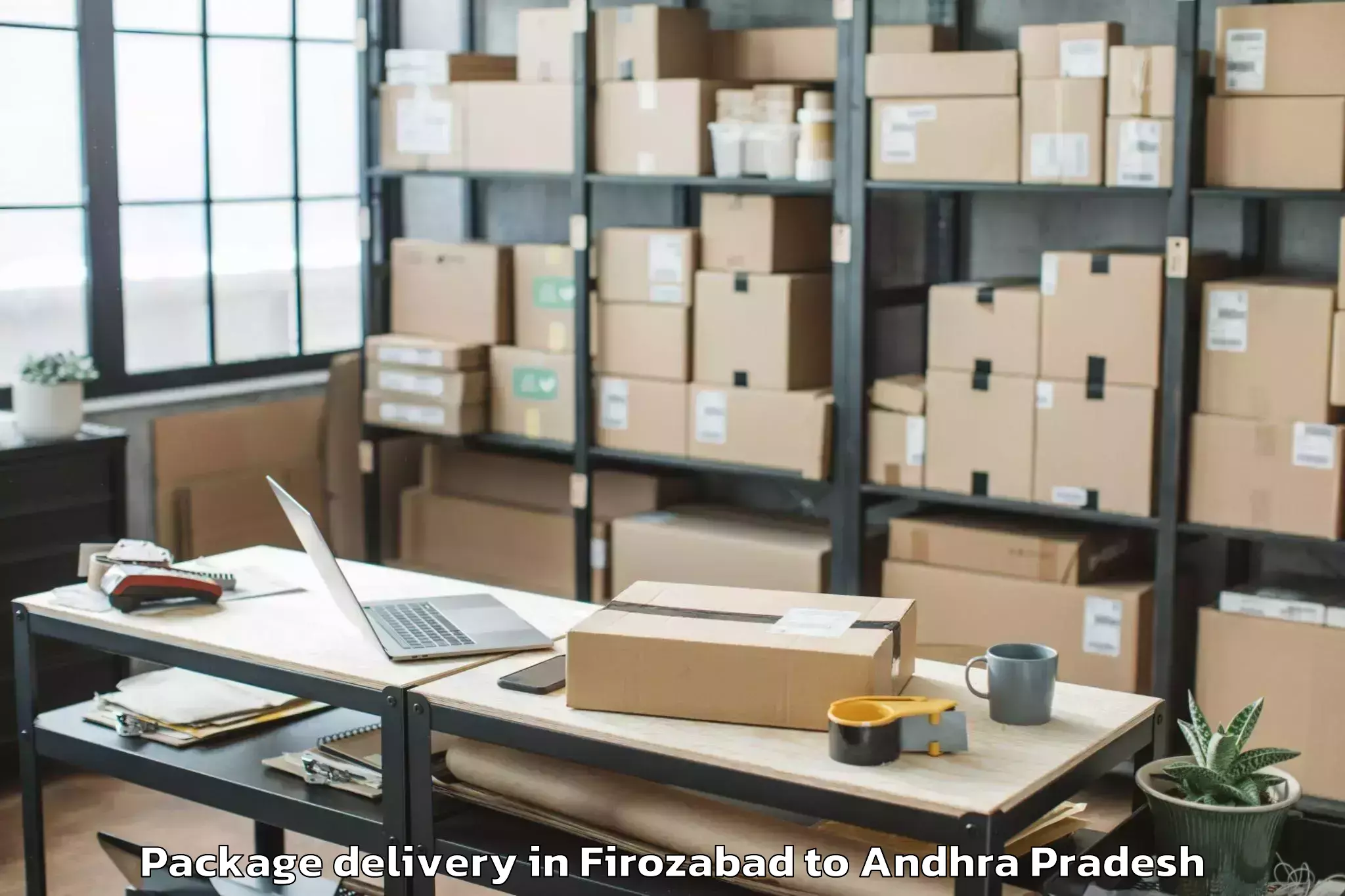 Professional Firozabad to Macherla Package Delivery